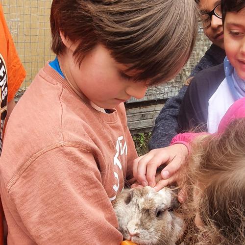 Die Kinder dürfen die Kaninchen streicheln