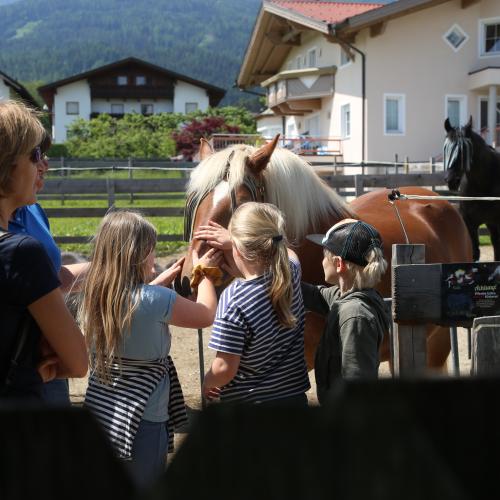 Die Kinder bei den Pferden