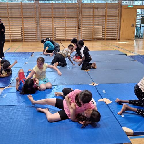 Judo Bären