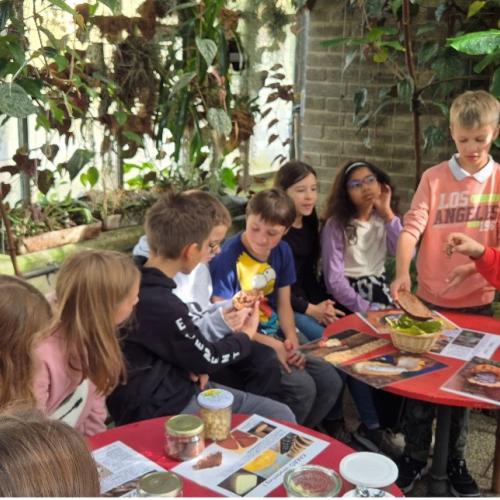 Projekt Baumschule