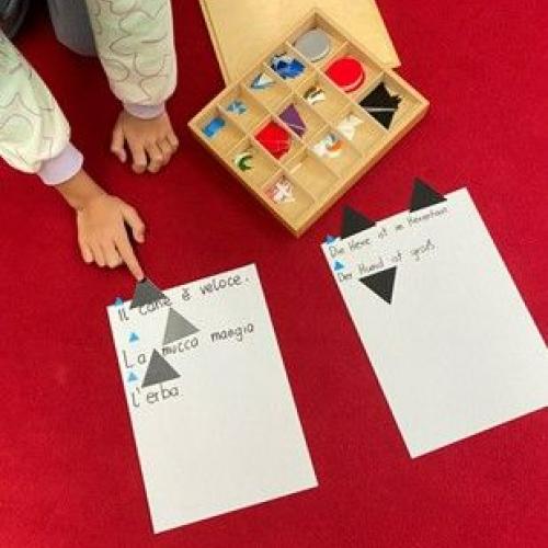 Gattini beim Grammtik erforschen