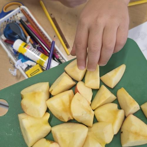 Conigli am Tag des Apfels 