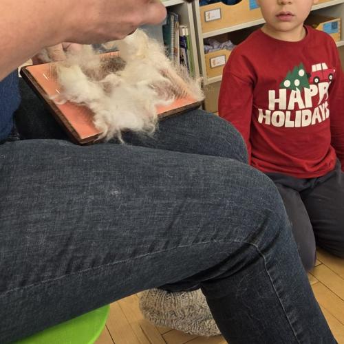 Die Conigli spinnen Wolle 