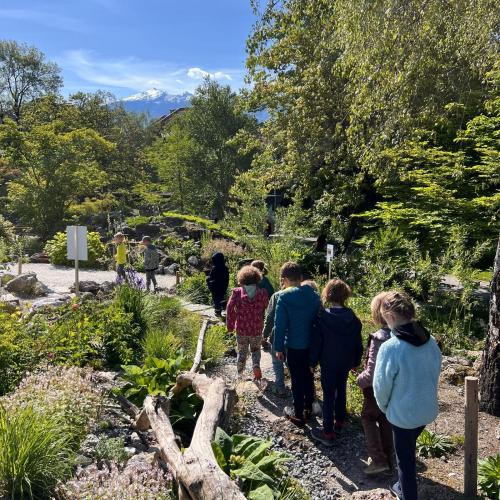 Botanischer Garten 