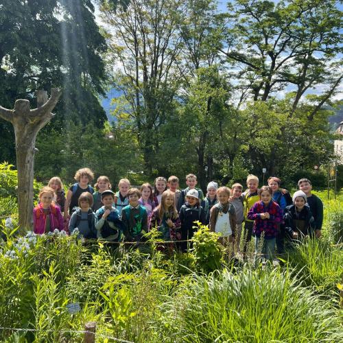 Botanischer Garten 