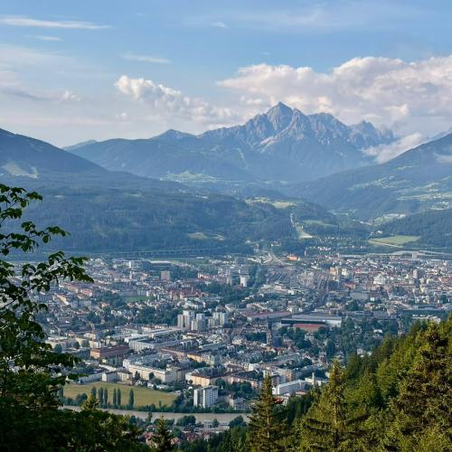 Koala Wandern 