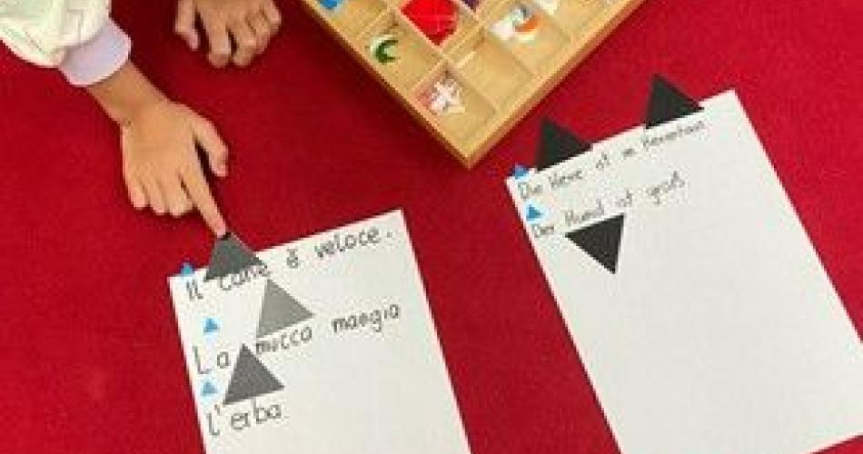 Gattini beim Grammtik erforschen