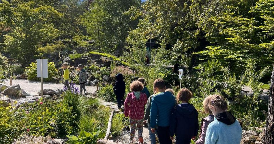 Botanischer Garten 