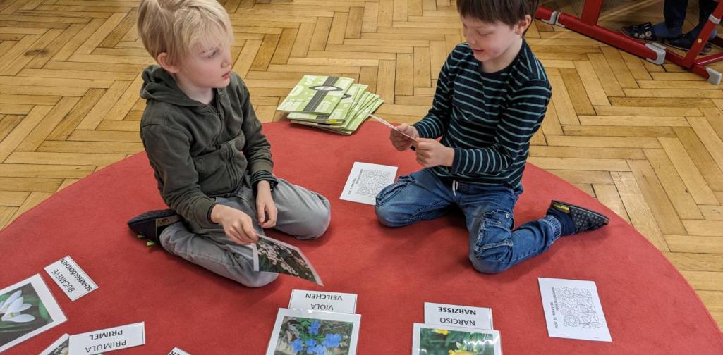 Frühling in der Apiklasse