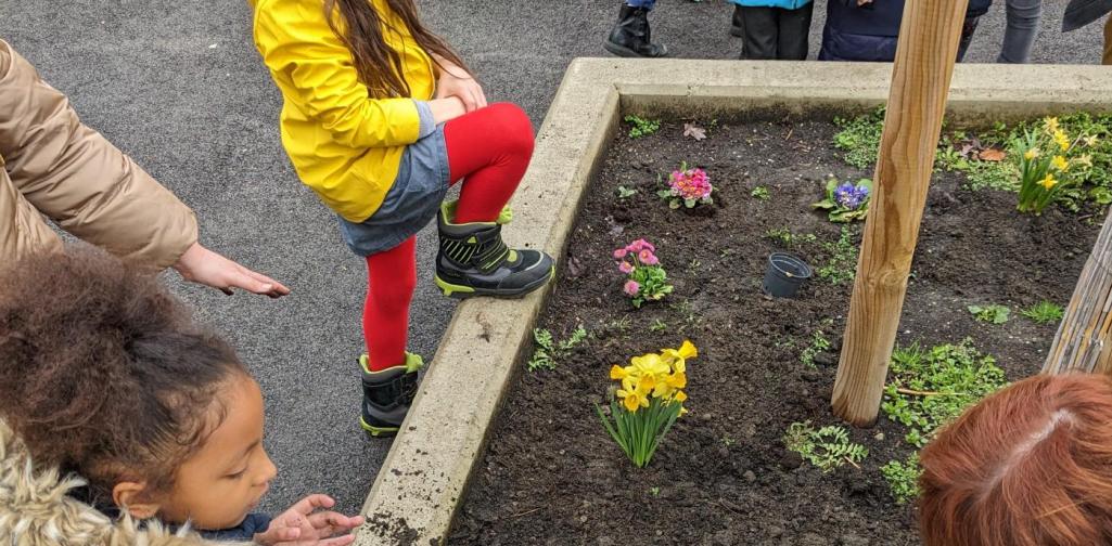 Frühling in der Apiklasse