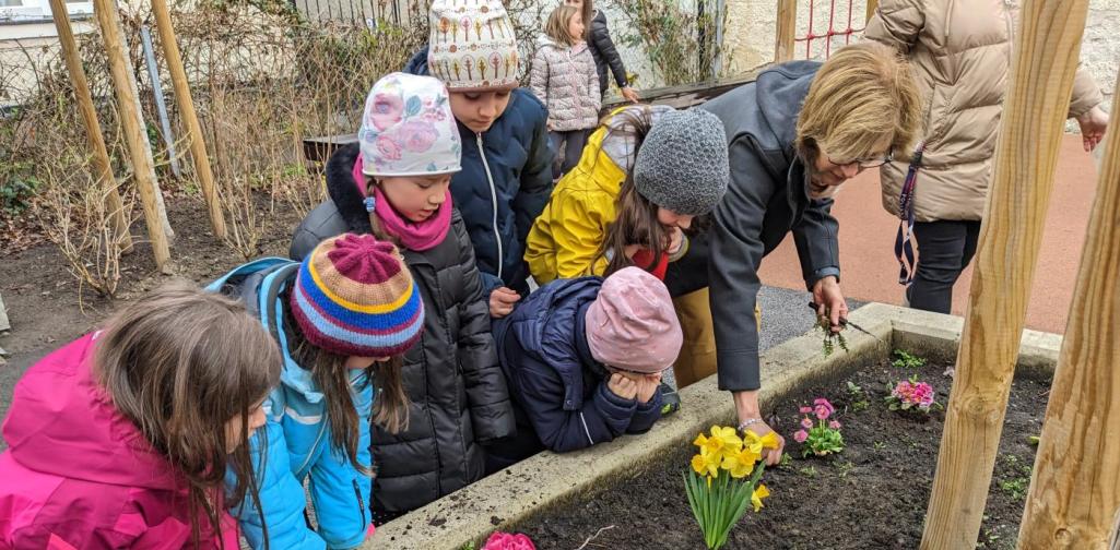 Frühling in der Apiklasse