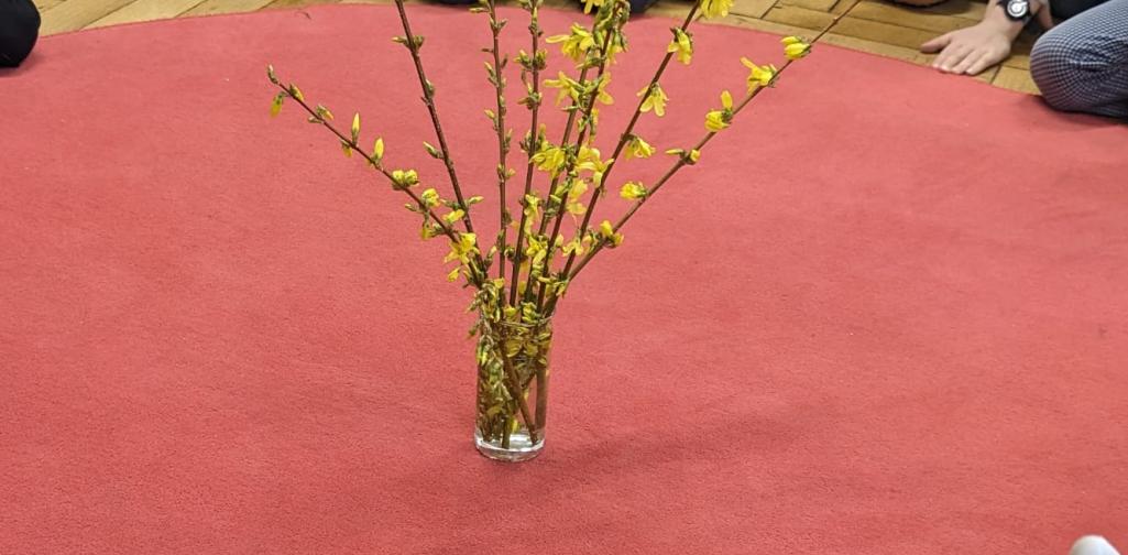 Frühling in der Apiklasse