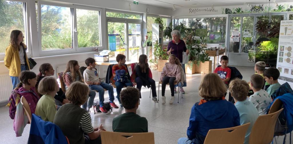 Die Stelline im Botanischen Garten Die Stelline im Botanischen Garten