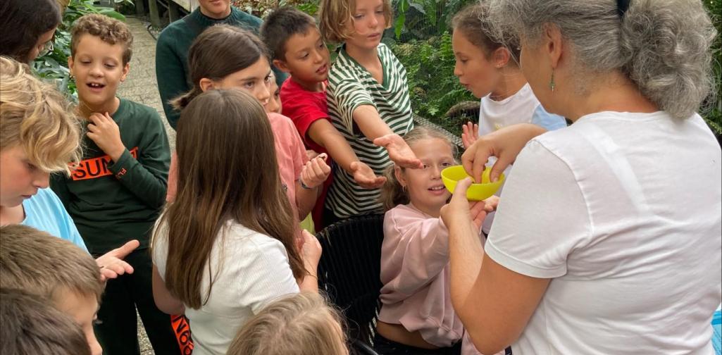 Die Stelline im Botanischen Garten Die Stelline im Botanischen Garten